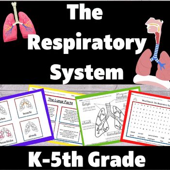 Preview of Human Body Systems: The Respiratory (Lungs) System Supplement Packet