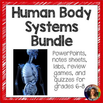 Preview of Human Body Systems Bundle