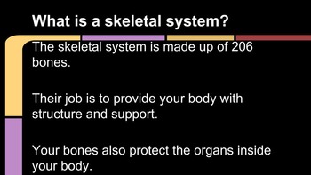 Preview of Human Body Systems Unit