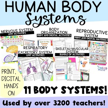 Human Body Systems Unit by Teaching Muse | Teachers Pay Teachers