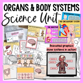 Preview of Human Body - Organs & Body Systems Unit - Print & Digital Activities