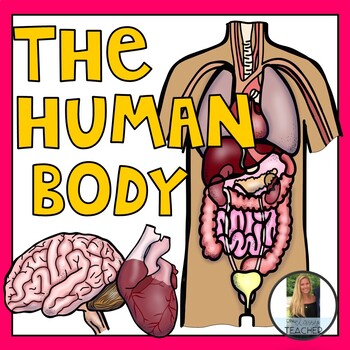 Preview of Human Body Systems Unit