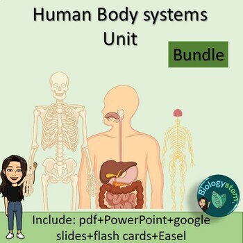 Preview of Human Body Systems Unit