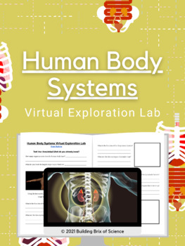 Preview of Human Body Systems Virtual Exploration Lab