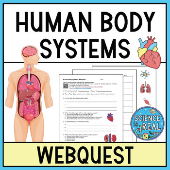 Preview of Human Body Systems Webquest
