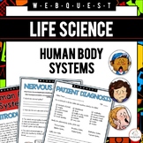 Human Body Systems Webquest Fillable PDF & Printable Proje