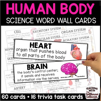 Preview of Human Body Systems Vocabulary Word Wall Cards for 5th Grade Science Classrooms 