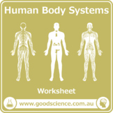 Human Body Systems [Worksheet]