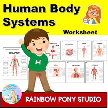 Preview of Human Body Systems Worksheet