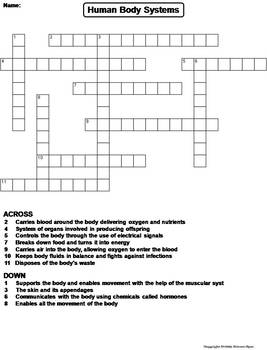 Human Body Systems Worksheet/ Crossword Puzzle by Science Spot | TpT