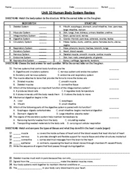 Human Body Systems Worksheet/Review/Test by Classroom to Classroom