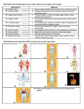 Human Body Systems Worksheet/Review/Test by Classroom to Classroom ...