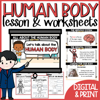 Preview of Human Body Systems Worksheet and Lesson 1st 2nd Grade Science Curriculum
