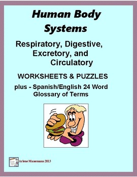 Preview of Human Body Systems Worksheets:  Circ., Resp., Excretory, & Digestive