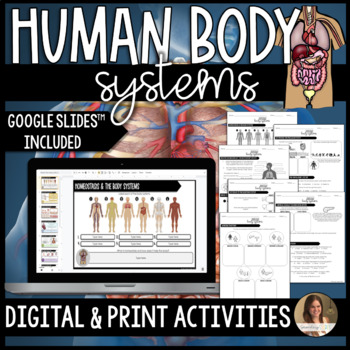 Preview of Human Body Systems and Homeostasis Activities - Digital Google Slides™ and Print