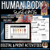 Human Body Systems and Homeostasis Activities - Digital Go