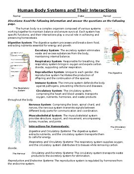 Preview of Human Body Systems and Their Interactions: Text, Images, and Assessment