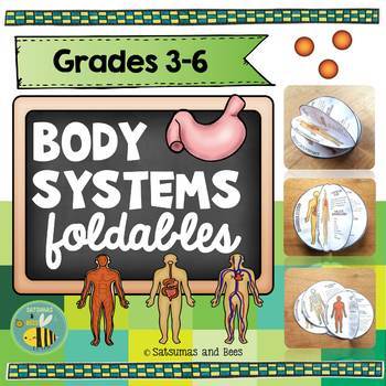 Preview of Human Body Systems foldables Interactive Science Notebook