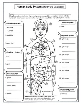 Human Body Systems (for 5th and 6th grades) by Biology Buff | TPT