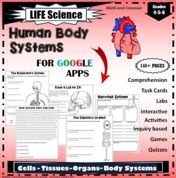 Preview of Human Body Systems for Google Slides