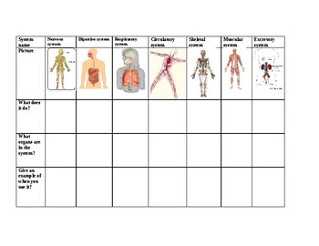 Preview of Human Body Systems graphic organizer