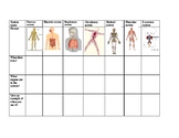 Human Body Systems graphic organizer