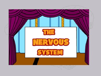 Preview of Human Body THE NERVOUS SYSTEM