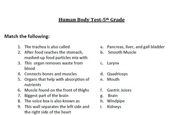 human body test 5th grade by teachertime28 teachers pay