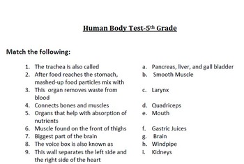 human body test 5th grade by teachertime28 teachers pay teachers