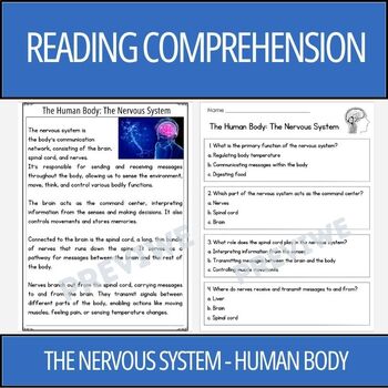 Preview of Human Body: The Nervous System - Reading Comprehension Activity