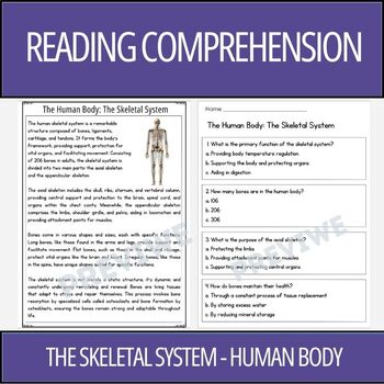 Preview of Human Body: The Skeletal System - Reading Comprehension Activity