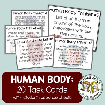 Preview of Human Body Systems - Task Cards