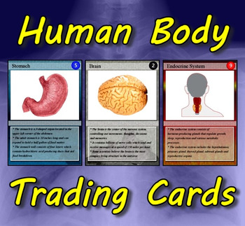 Human Body Trading Cards