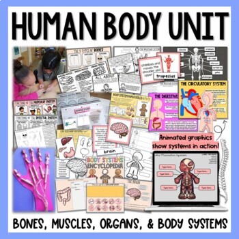 Preview of Human Body Unit Bundle - Organs & Body Systems