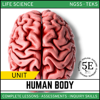 Preview of Human Body Unit - 5E Model