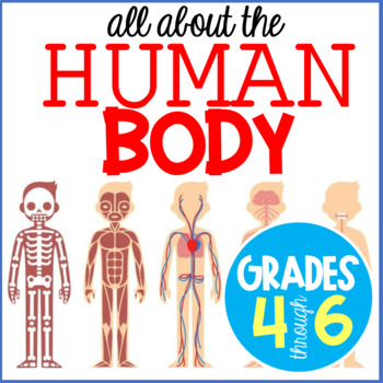 Preview of Human Body Unit