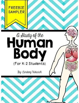 Preview of Human Body Unit (Free Preview)