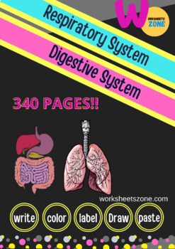 Preview of Human Body Unit Package 2022 Digestive and Respiratory Systems Bundle 340page