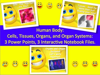 Preview of Human Body Unit PowerPoints and Interactive Notebook Bundle
