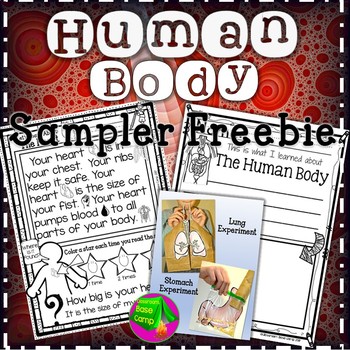 Preview of Human Body Unit Sampler