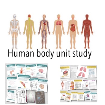 Preview of Human Body Unit Study
