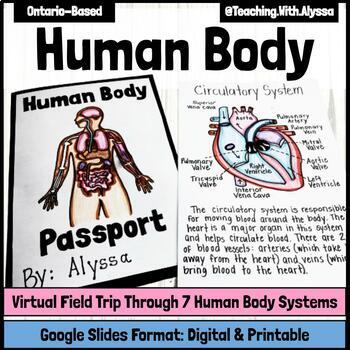 Preview of Human Body Virtual Field Trip Activity | Fun Science Project | Digital Version