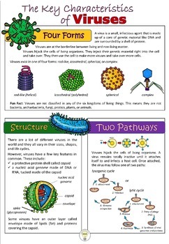 virus research project middle school