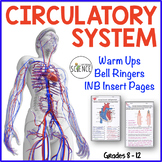 Circulatory System Bell Ringers Human Body Warm Ups