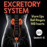 Excretory System Bell Ringers Human Body Warm Ups