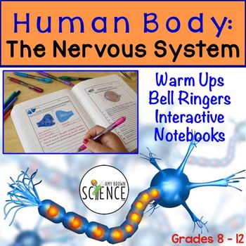 Preview of Nervous System Bell Ringers Human Body Warm Ups