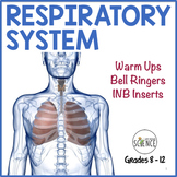 Respiratory System Bell Ringers Human Body Warm Ups