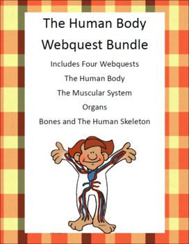 Preview of Human Body Webquest Bundle-Organs, Muscular System, Human Skeleton, Bones