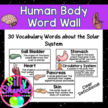 Preview of Human Body Word Wall