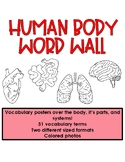 Human Body Word Wall- Body Parts & Systems VOCAB